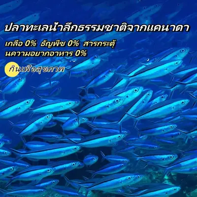 Deeplove ขนมแมว เกลือ 0% ธัญพืช 0%… - ภาพที่ 3