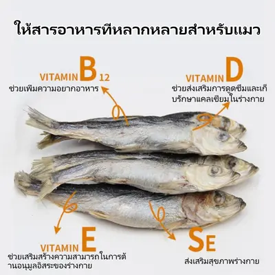 Deeplove ขนมแมว เกลือ 0% ธัญพืช 0%… - ภาพที่ 5