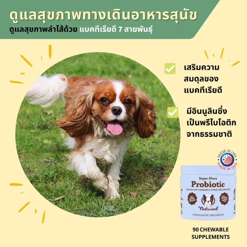 Dog Probiotics Supplement วิตามินโปรไบโอติกสุนัข… - ภาพที่ 5