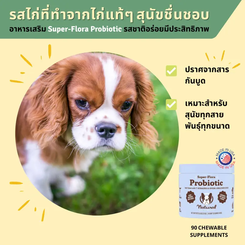 Dog Probiotics Supplement วิตามินโปรไบโอติกสุนัข… - ภาพที่ 6