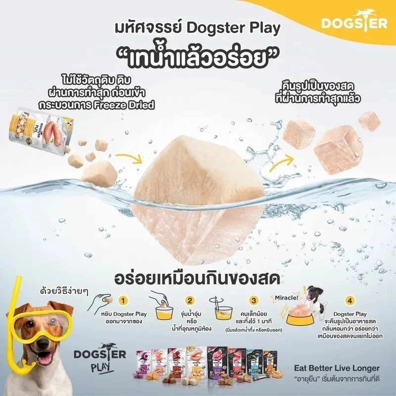 Dogster Play ขนมสุนัข Freeze Dried… - ภาพที่ 6