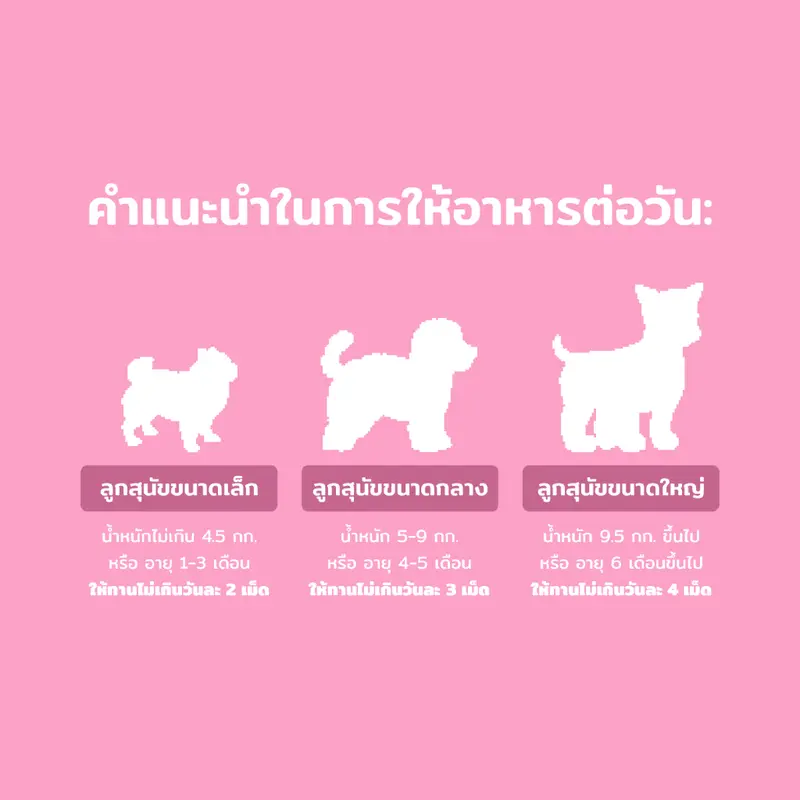 Dr. Shiba Power Pup อาหารเสริมสำหรับลูกสุนัข สูตรนมแพะ มีวิตามิน โพรไบโอติก โคลอสตรัม (น้ำนมเหลือง) 120 กรัม 80 เม็ด - ภาพที่ 5