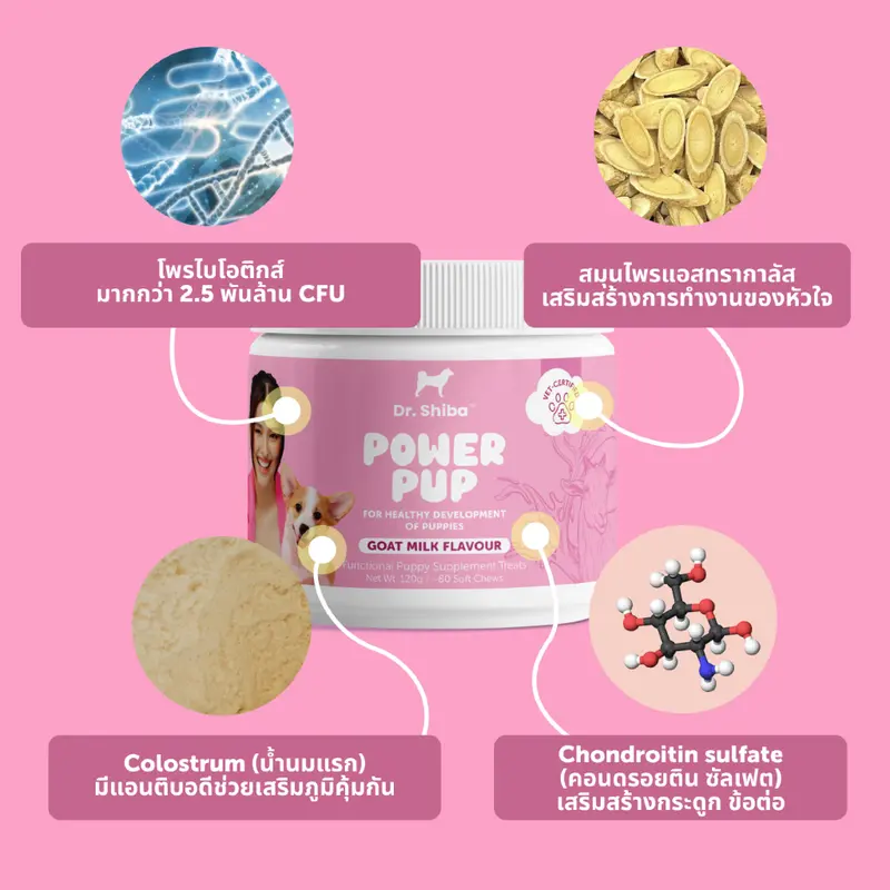 Dr. Shiba Power Pup อาหารเสริมสำหรับลูกสุนัข สูตรนมแพะ มีวิตามิน โพรไบโอติก โคลอสตรัม (น้ำนมเหลือง) 120 กรัม 80 เม็ด