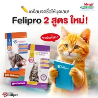 Felipro เฟลิโปร อาหารเม็ดแมว สูตรพิเศษที่ออกแบบมาเพื่อสุขภาพที่ดีของแมวทุกสายพันธุ์ ขนาด 1 กิโลกรัม (ถุงแบ่ง) - ภาพที่ 6