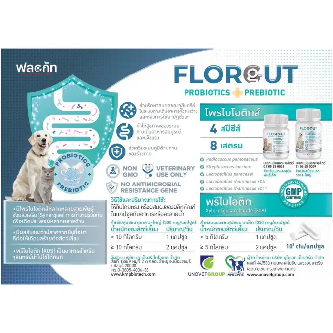 Florgut 30 แคปซูล🔥Exp.2028 อาหารเสริมโปรตีน พรีไบโอติกและโพรไบโอติก ปรับสมดุลลำไส้ สำหรับสุนัขและแมว - ภาพที่ 3