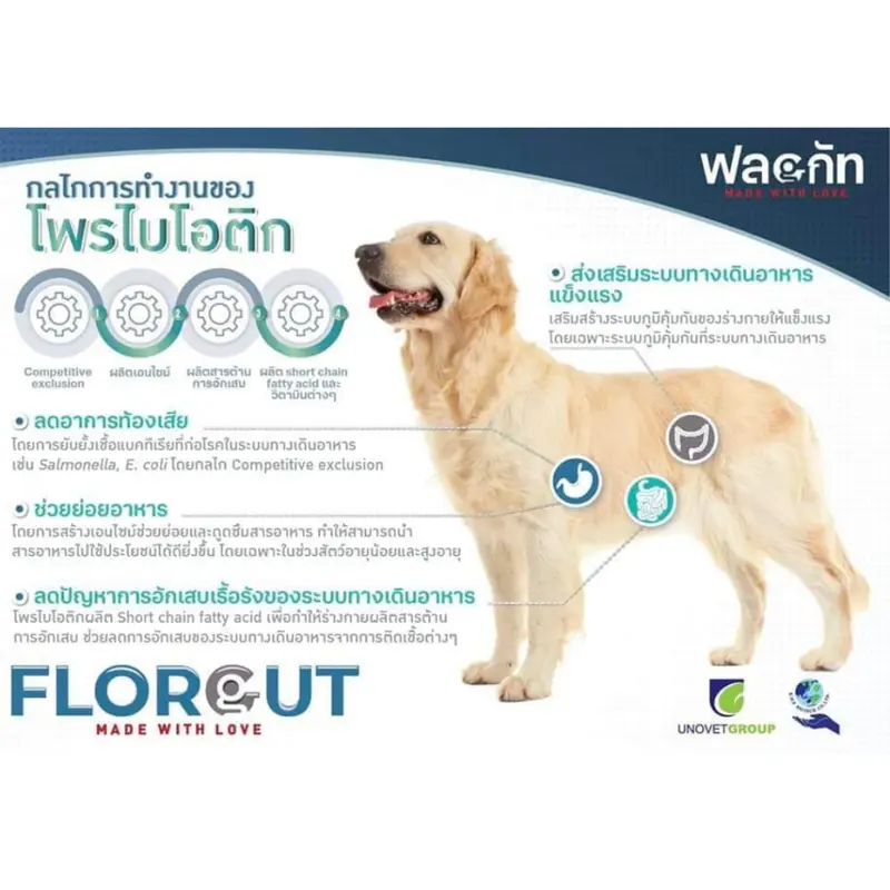 Florgut 30 แคปซูล🔥Exp.2028 อาหารเสริมโปรตีน พรีไบโอติกและโพรไบโอติก ปรับสมดุลลำไส้ สำหรับสุนัขและแมว - ภาพที่ 4
