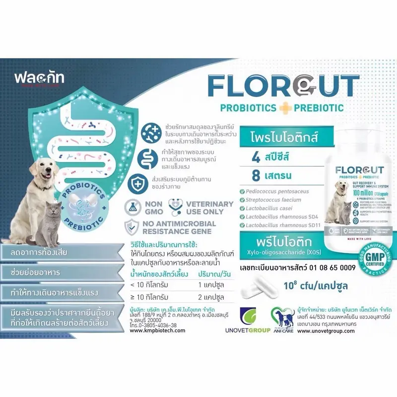 Florgut อาหารเสริมพรีไบโอติกและโพรไบโอติก… - ภาพที่ 3