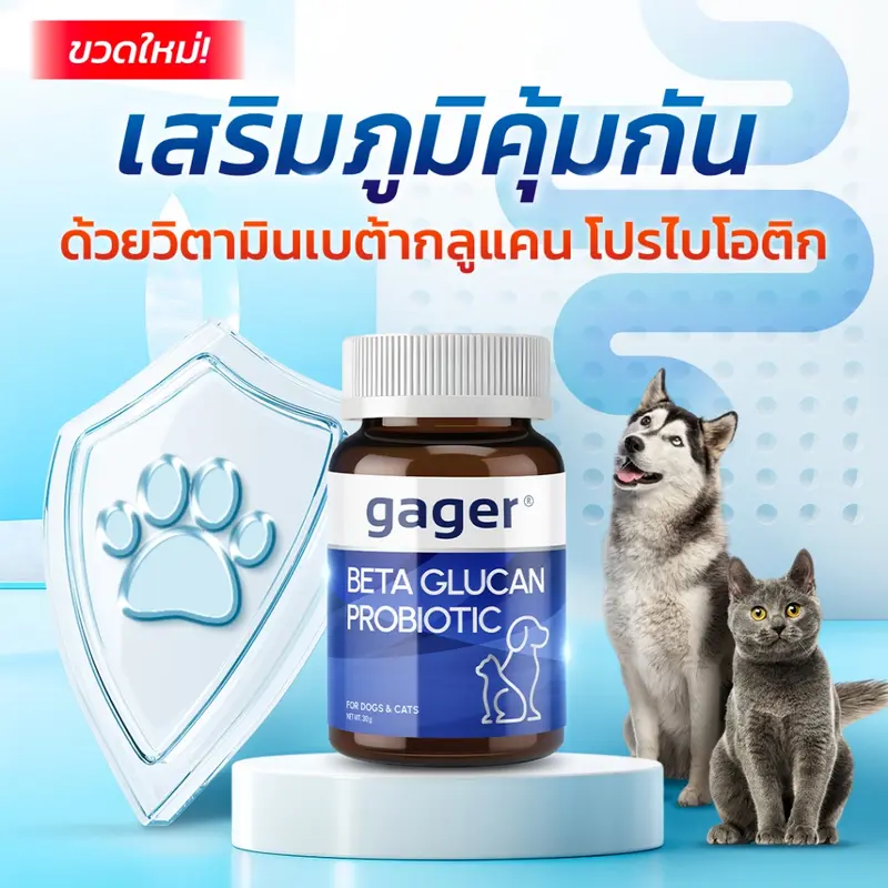 Gager (กาเจอร์) วิตามินหมา วิตามินแมว ผงเบต้ากลูแคน+โปรไบโอติค2in1 เสริมสร้างภูมิคุ้มกัน กลิ่นไก่ผสมตับ (มีตัวเลือก) - ภาพที่ 3