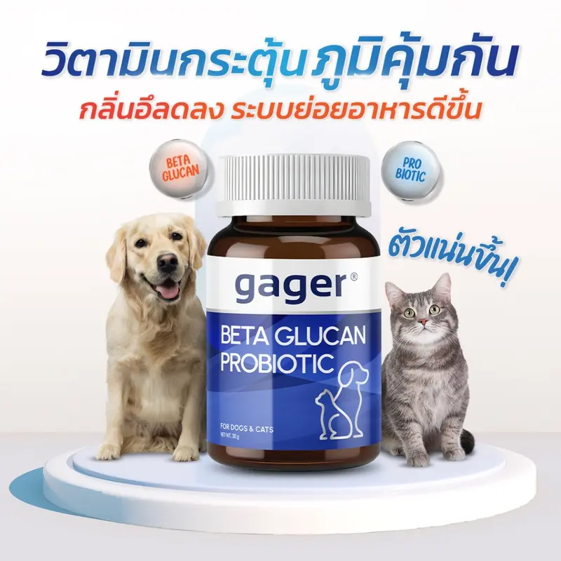 Gager (กาเจอร์) วิตามินหมา วิตามินแมว ผงเบต้ากลูแคน+โปรไบโอติค2in1 เสริมสร้างภูมิคุ้มกัน กลิ่นไก่ผสมตับ (มีตัวเลือก) - ภาพที่ 4