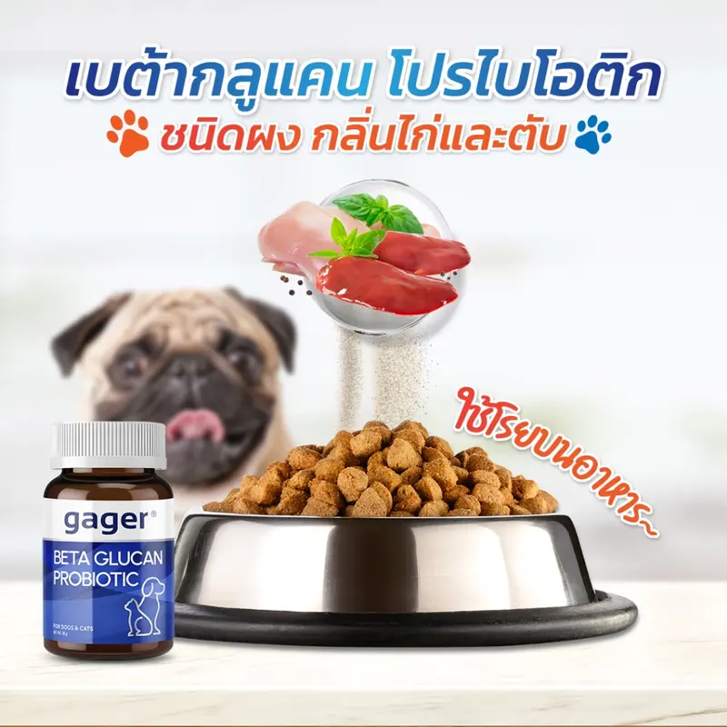 Gager (กาเจอร์) วิตามินหมา วิตามินแมว ผงเบต้ากลูแคน+โปรไบโอติค2in1 เสริมสร้างภูมิคุ้มกัน กลิ่นไก่ผสมตับ (มีตัวเลือก) - ภาพที่ 6