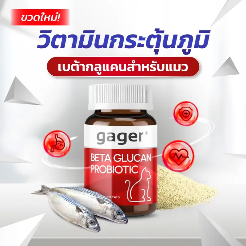 Gager (กาเจอร์) วิตามินแมว ผงเบต้าแมว ผงเบต้ากลูแคน+โปรไบโอติค2in1 เสริมสร้างภูมิคุ้มกัน กลิ่นปลา (มีตัวเลือก) - ภาพที่ 3