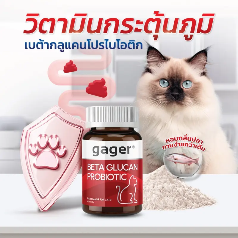 Gager (กาเจอร์) วิตามินแมว ผงเบต้าแมว ผงเบต้ากลูแคน+โปรไบโอติค2in1 เสริมสร้างภูมิคุ้มกัน กลิ่นปลา (มีตัวเลือก) - ภาพที่ 4