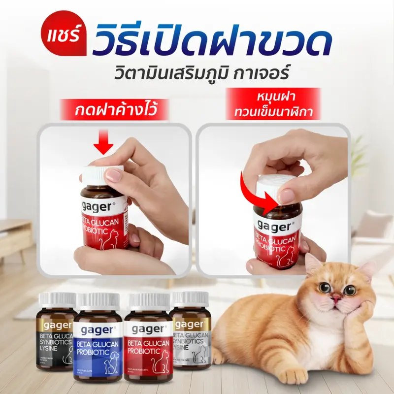 Gager (กาเจอร์) วิตามินแมว ผงเบต้าแมว ผงเบต้ากลูแคน+โปรไบโอติค2in1 เสริมสร้างภูมิคุ้มกัน กลิ่นปลา (มีตัวเลือก) - ภาพที่ 6