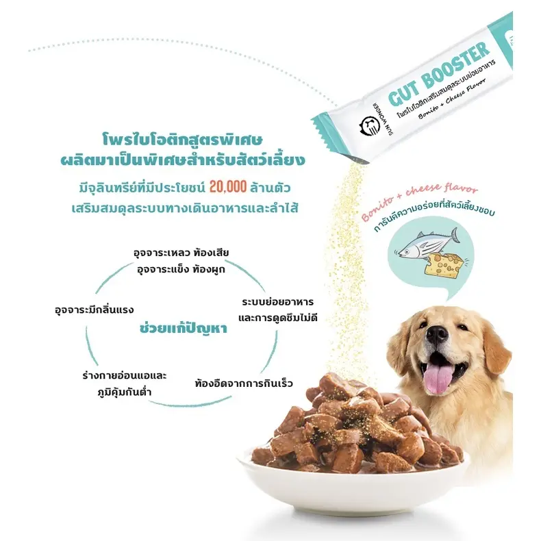 Gut Booster ผงอาหารเสริมโปรไบโอติก สูตรสำหรับหมา ทานง่าย แบบโรยอาหาร ปรับสมดุลลำไส้ แก้ ท้องเสีย - ภาพที่ 6