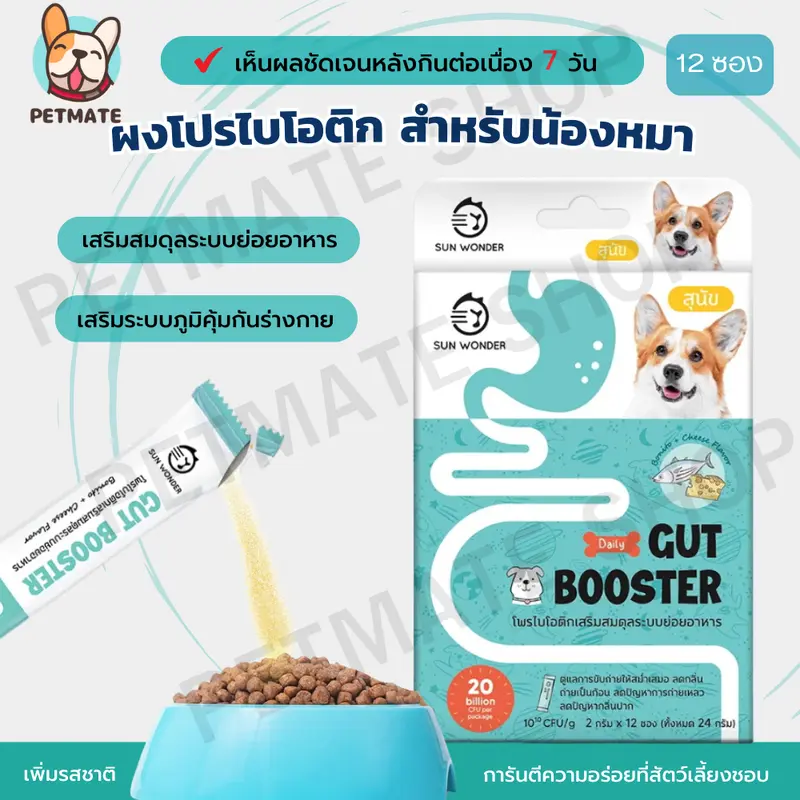 Gut Booster ผงอาหารเสริมโปรไบโอติก สูตรสำหรับหมา ทานง่าย แบบโรยอาหาร ปรับสมดุลลำไส้ แก้ ท้องเสีย Gut Booster ผงอาหารเสริมโปรไบโอติก สูตรสำหรับหมา ทานง่าย แบบโรยอาหาร ปรับสมดุลลำไส้ แก้ ท้องเสีย