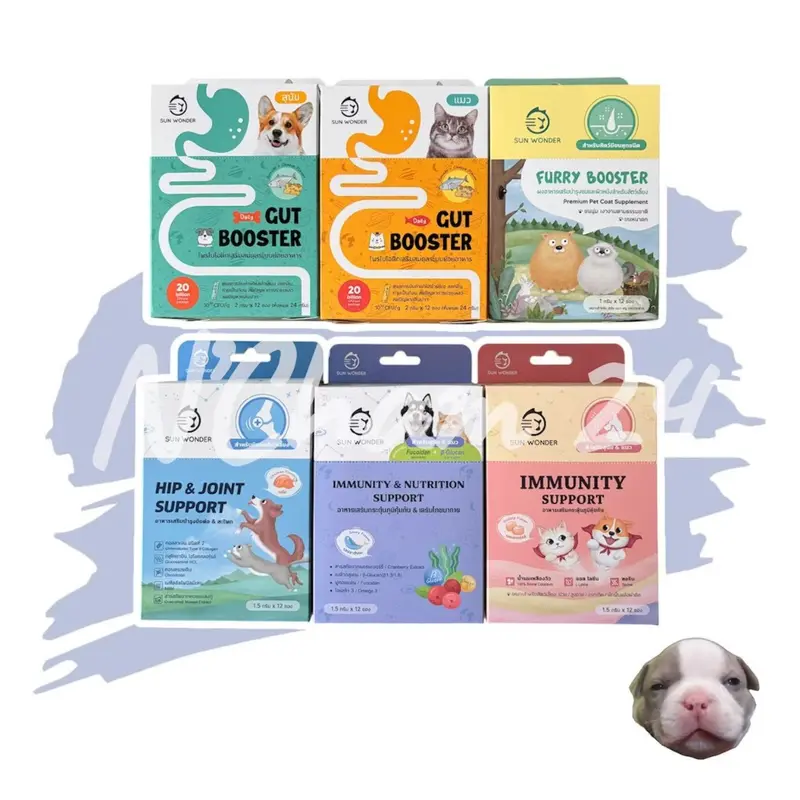 Gut Booster by Sun Wonder บรรจุ 12 ซอง โพรไบโอติกสำหรับสุนัขและแมว ปรับสมดุลลำไส้ Gut Booster by Sun Wonder บรรจุ 12 ซอง โพรไบโอติกสำหรับสุนัขและแมว ปรับสมดุลลำไส้