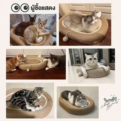 ของเล่นแมวที่ลับเล็บแมว ที่ฝนเล็บแมว… - ภาพที่ 3