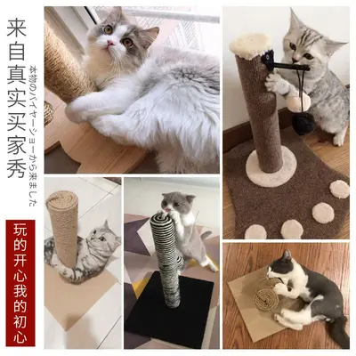 คอนโดแมว ที่ฝนเล็บแมว เสาลับเล็บแมว พร้อมของเล่น… - ภาพที่ 4