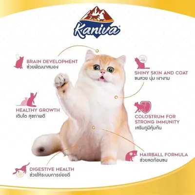 Kaniva คานิว่า อาหารแมว 1 - 1.5 kg สำหรับแมวทุกช่วงวัย - ภาพที่ 4