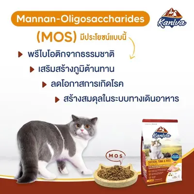 Kaniva คานิว่า อาหารแมว 1 - 1.5 kg สำหรับแมวทุกช่วงวัย - ภาพที่ 5