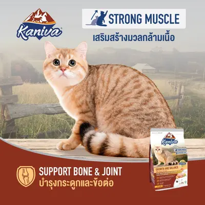 Kaniva คานิวาขนาด 1.2-1.5 กิโลกรัม อาหารแมวเกรด… - ภาพที่ 5