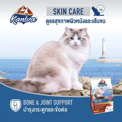 Kaniva คานิวาขนาด 1.2-1.5 กิโลกรัม อาหารแมวเกรด… - ภาพที่ 6