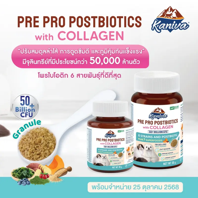 KANIVA PRE PRO POSTBIOTICS with COLLAGEN (3P) อาหารเสริมดูแลลำไส้และเสริมภูมิคุ้มกัน - Granules (แกรนูล) For Dogs & Cats - ภาพที่ 3