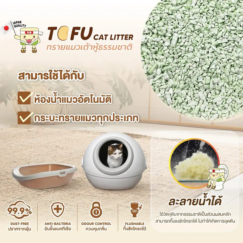 Kasty ทรายแมวเต้าหู้ 20 ลิตร แคสตี้ ผลิตจากธรรมชาติ… - ภาพที่ 6