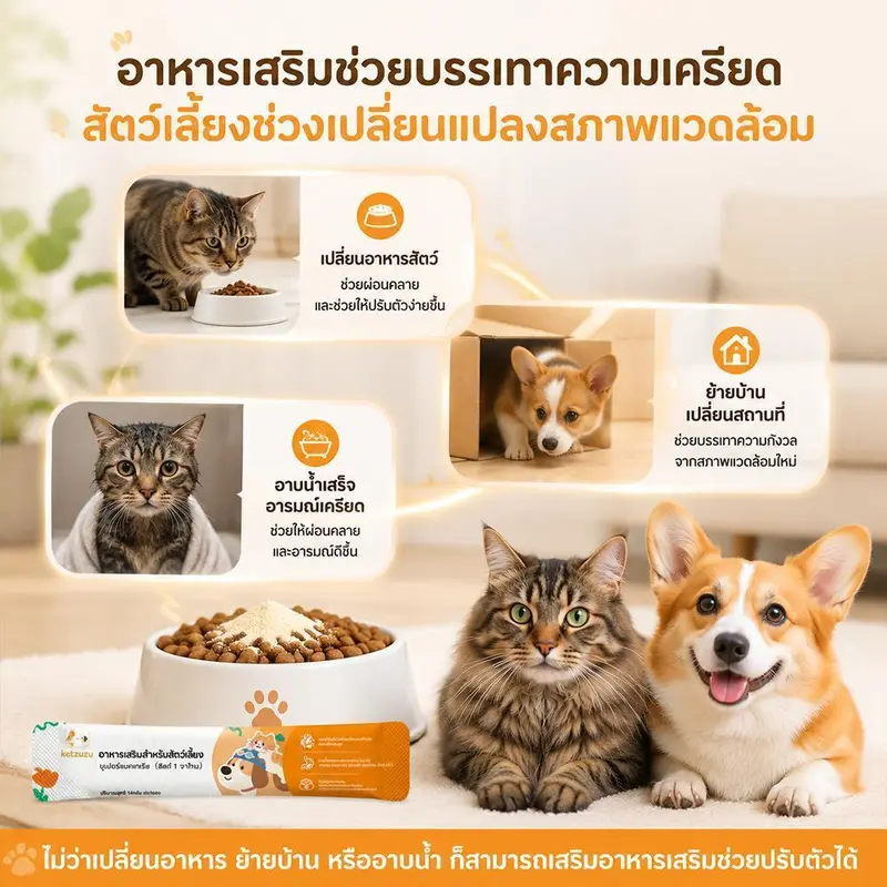 Ketzuzu 12/24 แพ็ค อาหารเสริมแมว เสริมภูมิคุ้มกันแมว โปรไบโอติกผง ช่วยแมวท้องเสีย อาเจียน และลำไส้แปรปรวน 14g - ภาพที่ 6