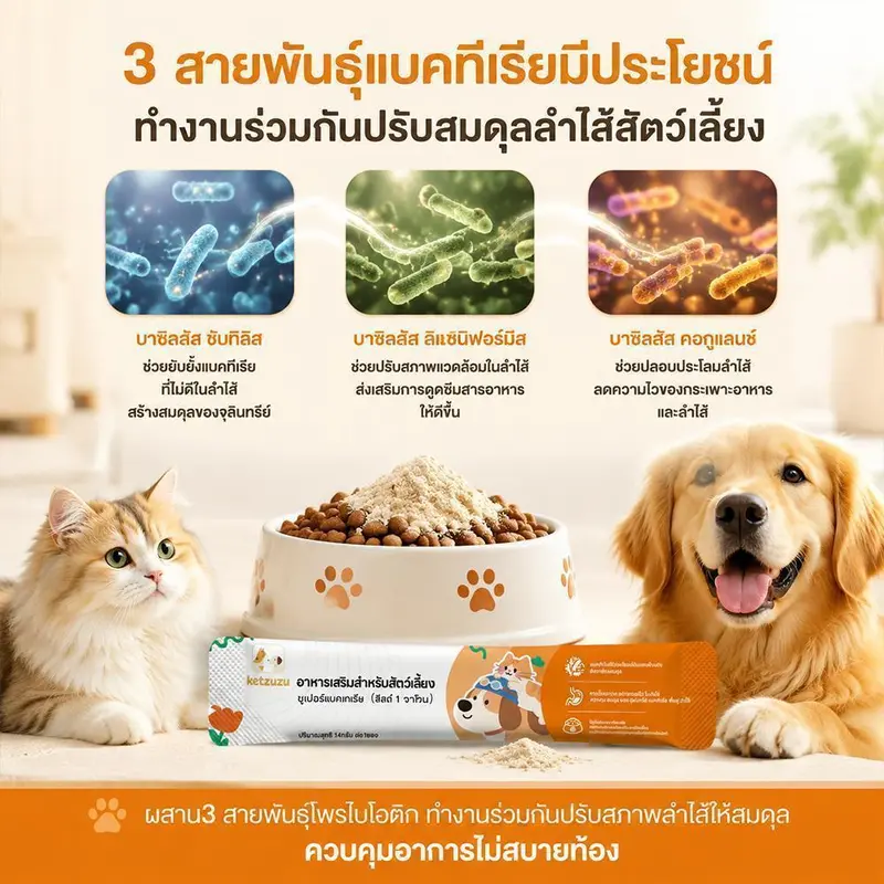 Ketzuzu 12/24 แพ็ค วิตามินแมว วิตามินสุนัข… - ภาพที่ 5