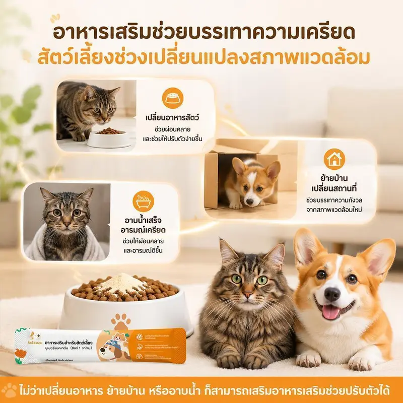 Ketzuzu 12/24 แพ็ค วิตามินแมว วิตามินสุนัข… - ภาพที่ 6