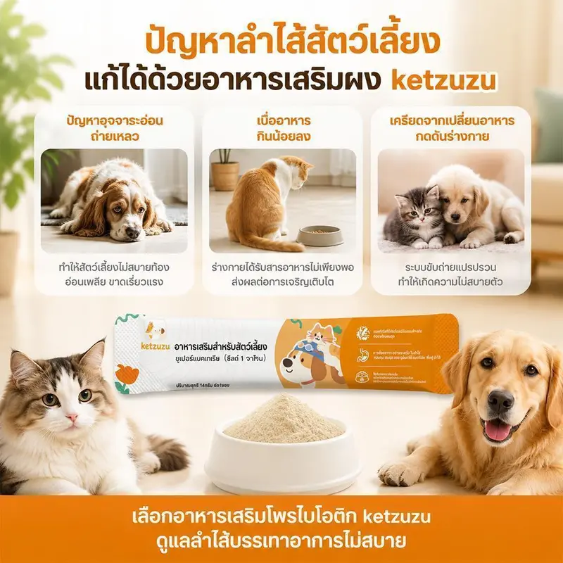 Ketzuzu 12/24 แพ็ค วิตามินแมว วิตามินสุนัข… Ketzuzu 12/24 แพ็ค วิตามินแมว วิตามินสุนัข…