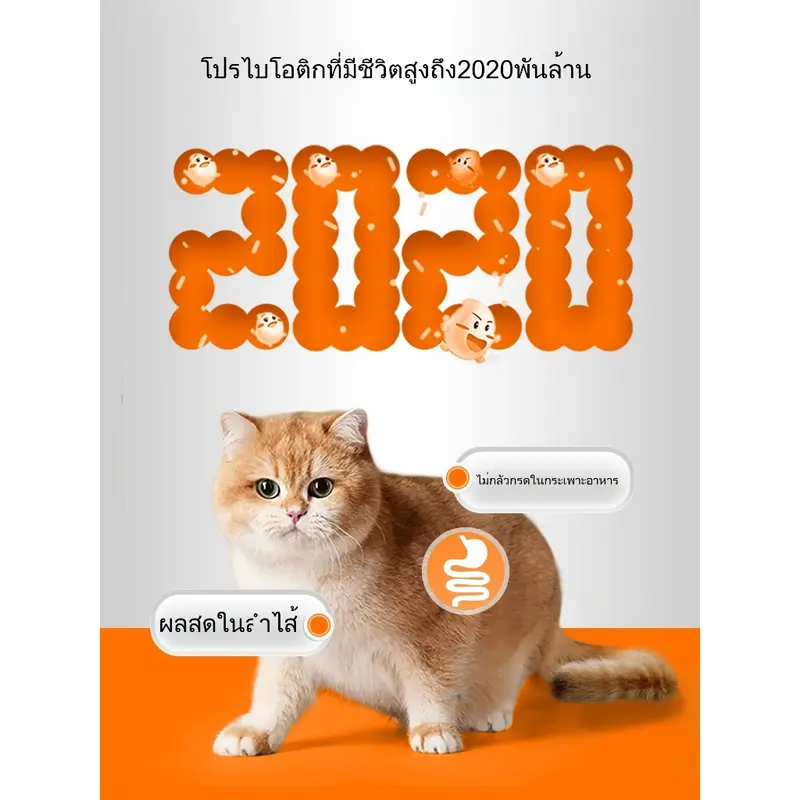Ketzuzu อาหารเสริมสำหรับสัตว์เลี้ยง ไลซีน + โปรไบโอติก อาหารเสริมสำหรับสัตว์เลี้ยง - ภาพที่ 4