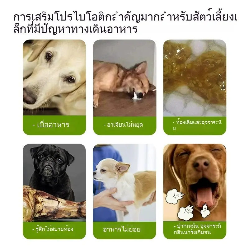 Ketzuzu อาหารเสริมสำหรับสัตว์เลี้ยง ไลซีน + โปรไบโอติก อาหารเสริมสำหรับสัตว์เลี้ยง - ภาพที่ 5