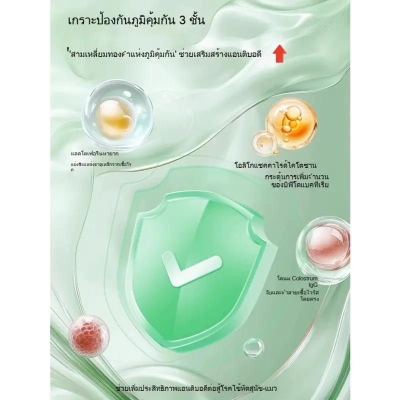Ketzuzu อาหารเสริมสำหรับสัตว์เลี้ยง ไลซีน + โปรไบโอติก อาหารเสริมสำหรับสัตว์เลี้ยง - ภาพที่ 6
