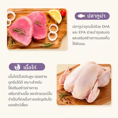อาหารแมวเปียก อาหารเปียกแมว ทูน่า… - ภาพที่ 4