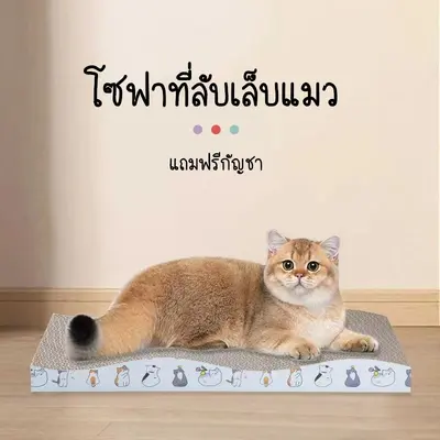 KTCAT ที่ลับเล็บแมว กระดานฝนเล็บแมว ของเล่นแมว… - ภาพที่ 3