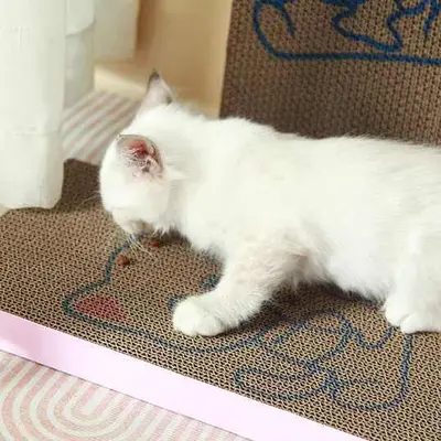 KTCAT ที่ลับเล็บแมว กระดานฝนเล็บแมว ของเล่นแมว… - ภาพที่ 5