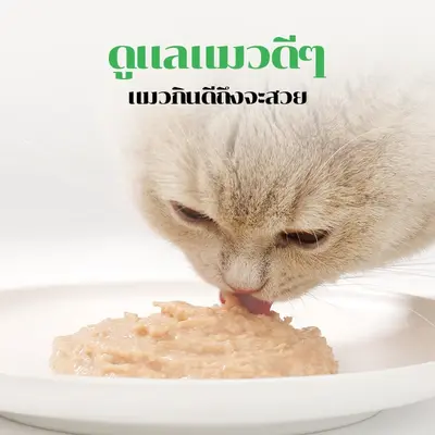 อาหารเปียกแมว โปรตีนสูง รสแซลมอน… - ภาพที่ 3