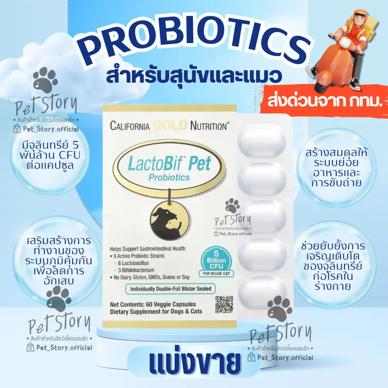 [แบ่งขาย] LactoBif Pet อาหารเสริม โปรไบโอติกสำหรับสุนัขและแมว ผลิตจาก USA มีจุลินทรีย์ 5 พันล้าน CFU ต่อแคปซูล