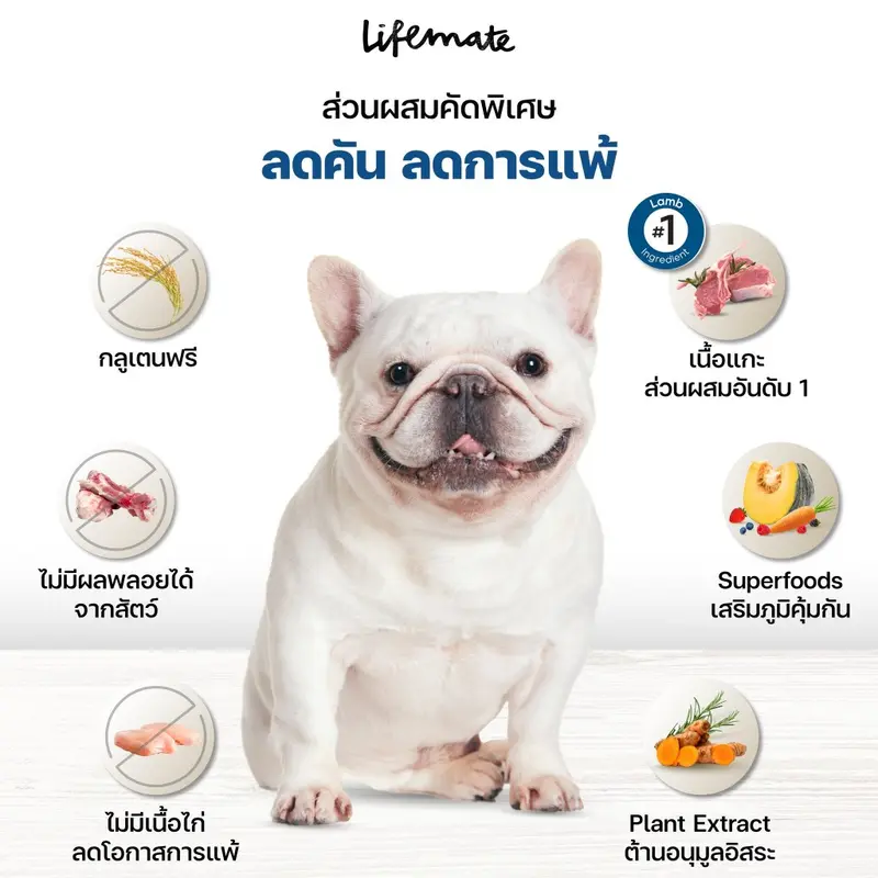 Lifemate อาหารเม็ดสุนัข ครบทุกสูตร Care+ - ภาพที่ 4