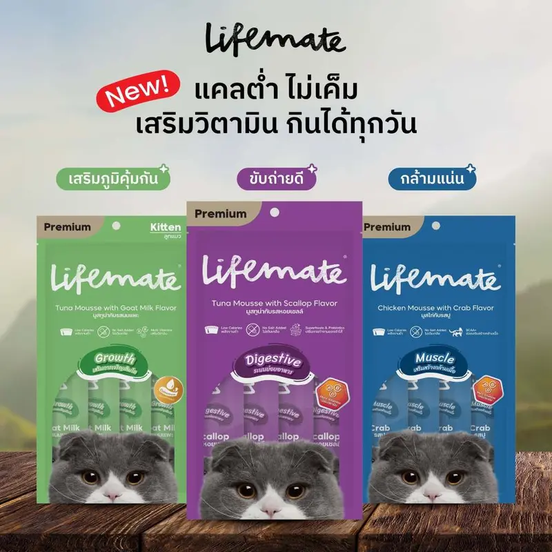 ขนมแมวเลีย Lifemate Cat Mousse Creamy แบบ 25 ซอง… ขนมแมวเลีย Lifemate Cat Mousse Creamy แบบ 25 ซอง…