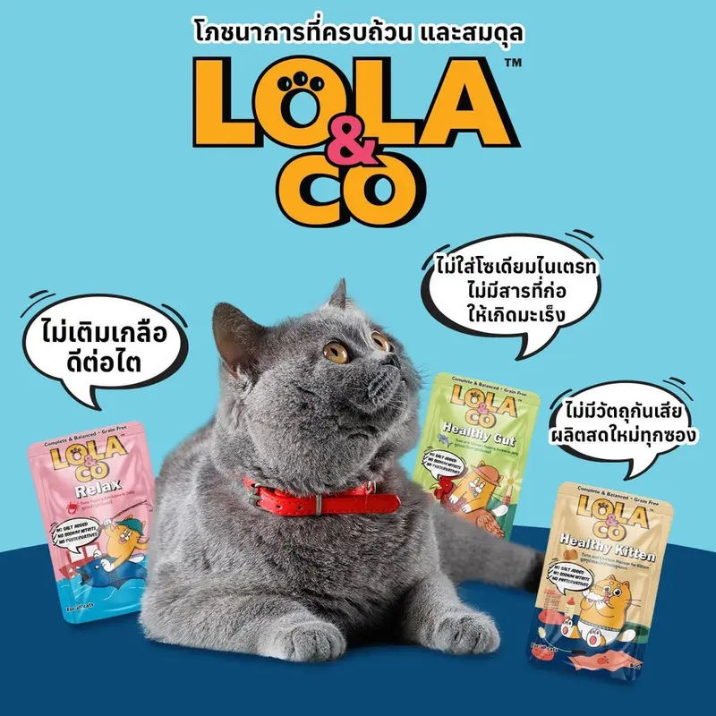 LOLA&CO อาหารเปียกแมว เพื่อสุขภาพ สูตร… - ภาพที่ 3