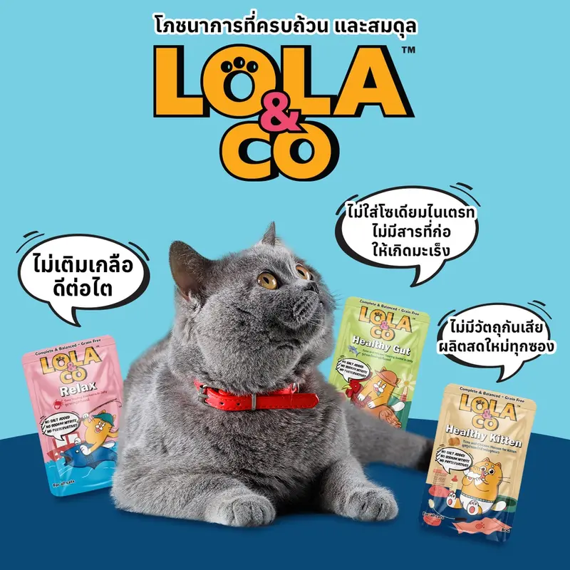 Lola&Co อาหารเปียกแมว สูตร Complete &… - ภาพที่ 4