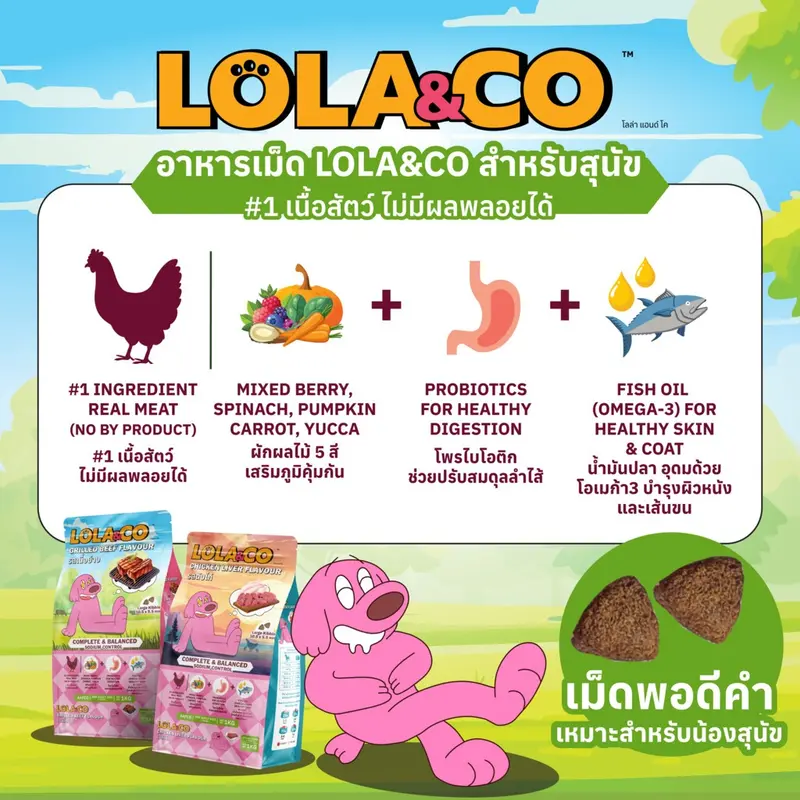 [กระสอบ] Lola & Co อาหารสุนัขแบบเม็ด ขนาด 7 kg - ภาพที่ 5