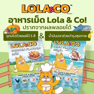 Lola&Co อาหารเม็ดแมว สำหรับแมวโต อุดมด้วยผลไม้ 5 สี… - ภาพที่ 4