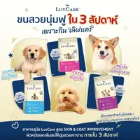 LuvCare เลิฟแคร์ อาหารเม็ดสุนัข สำหรับพันธุ์เล็ก กลาง ใหญ่ ทุกวัย ครบสูตร ขนาด 2 - 3 kg - ภาพที่ 4