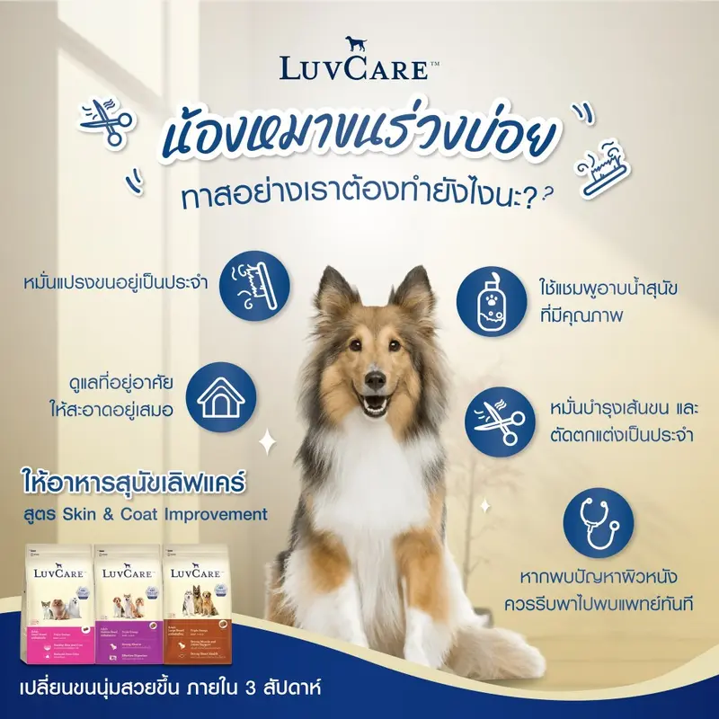 LuvCare Medium Adult&Puppy 9Kg. เลิฟแคร์ อาหารเม็ดสำหรับสุนัขพันธุ์กลาง ทุกสูตร ขนาด 9กก. - ภาพที่ 4