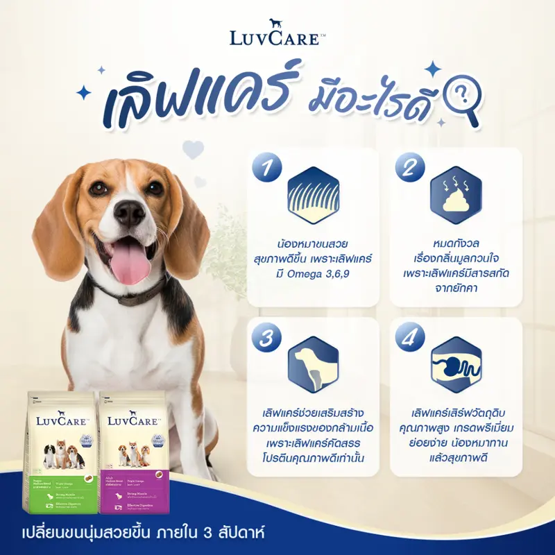 LuvCare Medium Adult&Puppy 9Kg. เลิฟแคร์ อาหารเม็ดสำหรับสุนัขพันธุ์กลาง ทุกสูตร ขนาด 9กก. - ภาพที่ 5