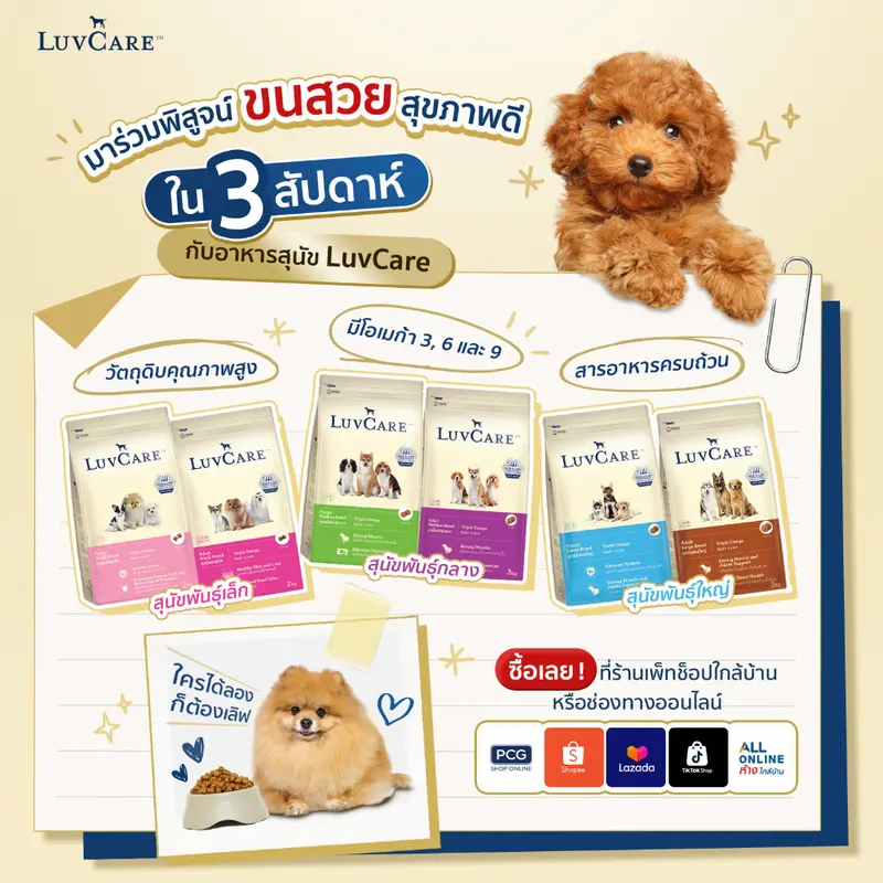 LuvCare Medium Adult&Puppy 9Kg. เลิฟแคร์ อาหารเม็ดสำหรับสุนัขพันธุ์กลาง ทุกสูตร ขนาด 9กก. - ภาพที่ 6